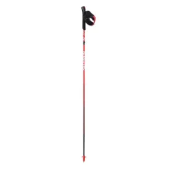BASTONES SALOMON S/LAB ULTRA CARBON