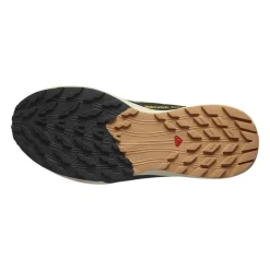 ZAPATILLAS SALOMON SENSE RIDE 5