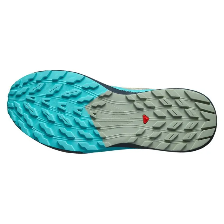 ZAPATILLAS SALOMON SENSE RIDE 5