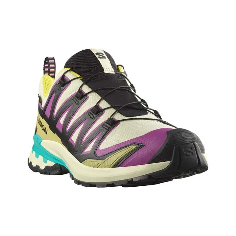 ZAPATILLAS SALOMON XA PRO 3D V9 GTX ICON PACK
